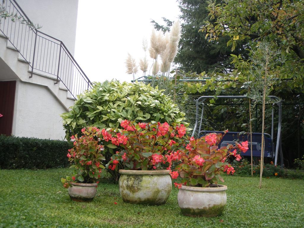 Apartments Katja Porec Camera foto